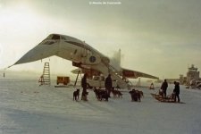 1737599144944.jpg 1737599144944.jpg