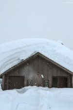 474606863_1208665097493681_4400178083176336892_n.jpg 474606863_1208665097493681_4400178083176336892_n.jpg