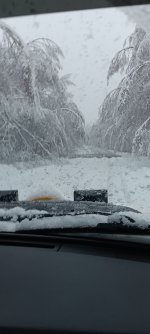 474830171_10227511862609206_3846094514015263978_n.jpg 474830171_10227511862609206_3846094514015263978_n.jpg