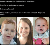 1738098131879.png 1738098131879.png