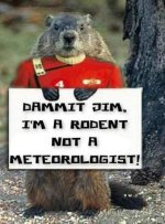 475774079_915639490737890_2096506976532659508_n (1).jpg