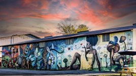 IMG_2022.jpeg IMG_2022.jpeg