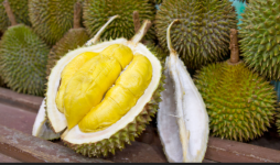 1740152429225.png 1740152429225.png