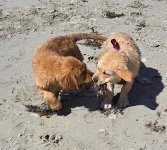 IMG_2025-02-24-001232.jpeg IMG_2025-02-24-001232.jpeg