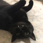 IMG_8013 (1).jpeg IMG_8013 (1).jpeg