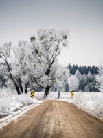 winter-dirt-road-transportation-traffic-ca7dbb.jpg