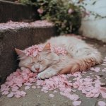 IMG_3926.jpeg IMG_3926.jpeg