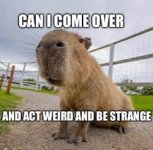 IMG_3917.jpeg IMG_3917.jpeg