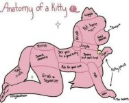 IMG_5482.jpeg IMG_5482.jpeg