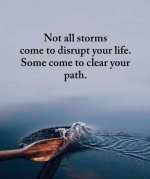 1743309654813.jpeg 1743309654813.jpeg