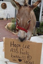 c84796c4e23c91648a605ba961c341ec.jpg c84796c4e23c91648a605ba961c341ec.jpg