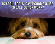 1743477234173.png 1743477234173.png