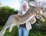 1743487669188.jpeg 1743487669188.jpeg