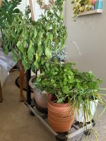 IMG_5928.jpg IMG_5928.jpg