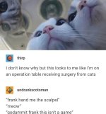 IMG_5619.jpeg IMG_5619.jpeg