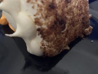 IMG_5752.jpeg IMG_5752.jpeg