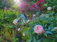 1000037880.jpg 1000037880.jpg