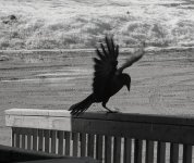 1000000402.jpg 1000000402.jpg