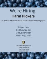 1745036839265.jpg 1745036839265.jpg