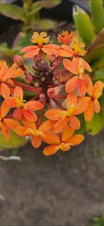 1000019974.jpg 1000019974.jpg