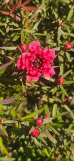 1000019976.jpg 1000019976.jpg