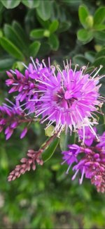 1000019977.jpg 1000019977.jpg