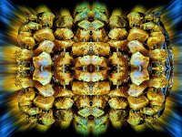 PXL-20250419-160809651 (1).jpg