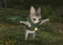 IMG_5837.jpeg IMG_5837.jpeg