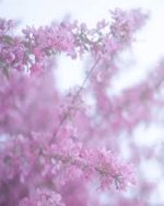 images (1).jpeg images (1).jpeg