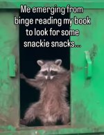 Screenshot_20240610_161333_Instagram.jpg Screenshot_20240610_161333_Instagram.jpg