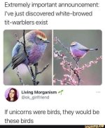 FB_IMG_1746093568908.jpg FB_IMG_1746093568908.jpg