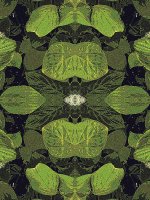 PXL-20250508-091215753 (1).jpg