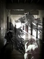 360B66E5-7F94-43E7-92EA-C053F0349AB7 (1).jpg