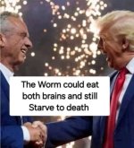 1000027672.jpg 1000027672.jpg