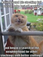 funny-christmas-cats-26.jpg