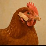 1000027811.jpg 1000027811.jpg