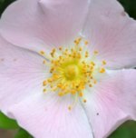 1000020271.jpg 1000020271.jpg