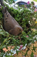 1000015462.jpg 1000015462.jpg