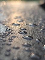 1000068330.jpg 1000068330.jpg