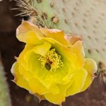 1000015010.jpg 1000015010.jpg