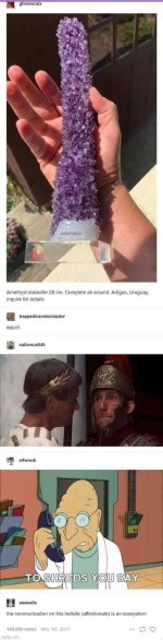 to shreds you say.jpg