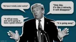 IMG_2739.jpeg IMG_2739.jpeg