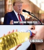 501B5D38-ECEE-46CB-8CA8-3E5A0312DA75.jpeg 501B5D38-ECEE-46CB-8CA8-3E5A0312DA75.jpeg