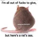 im-all-out-of-to-give-so-here-is-rats-ass.jpg
