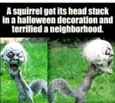 images.jpg images.jpg