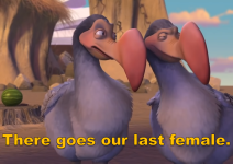 IMG_2944.png IMG_2944.png