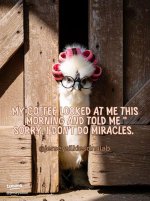 images-15.jpeg images-15.jpeg