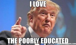 IMG_2945.jpeg IMG_2945.jpeg