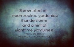 IMG_5868.jpeg IMG_5868.jpeg