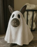 IMG_2633.jpeg IMG_2633.jpeg